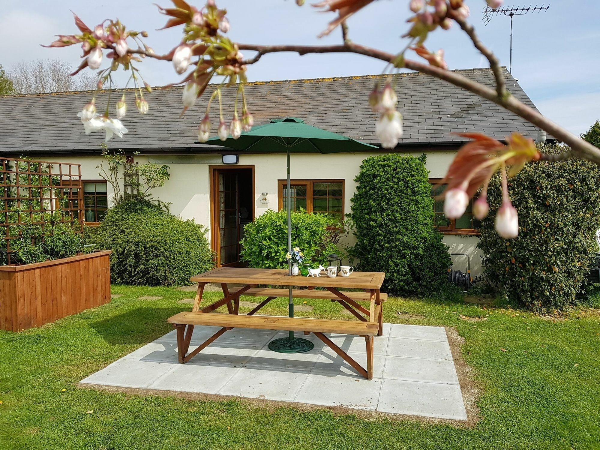 Hawthorn Farm Cottages كانتربيري المظهر الخارجي الصورة